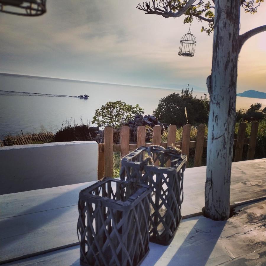 Villa Olga Studios Nea Skioni Exterior foto