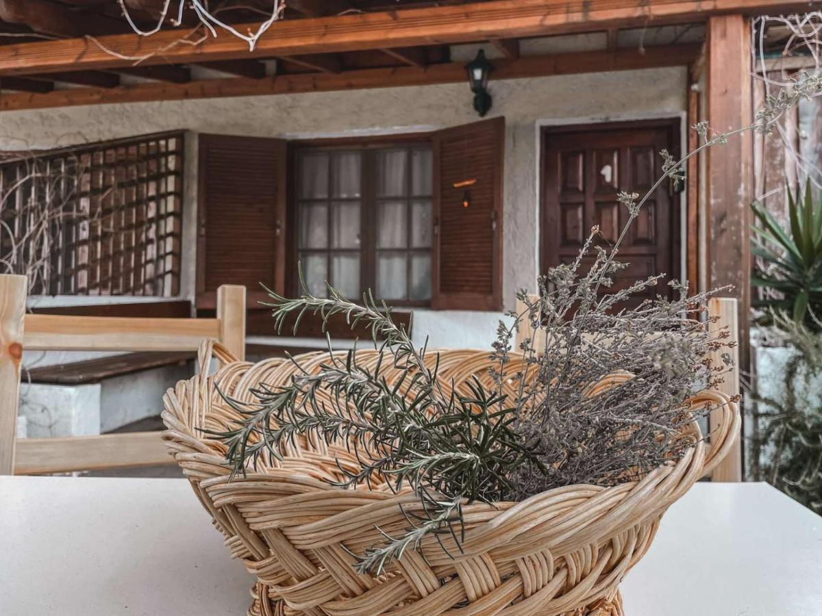 Villa Olga Studios Nea Skioni Exterior foto